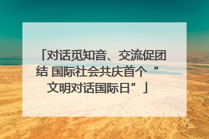 对话觅知音、交流促团结 国际社会共庆首个“文明对话国际日”