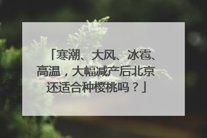 寒潮、大风、冰雹、高温，大幅减产后北京还适合种樱桃吗？
