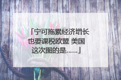 宁可拖累经济增长也要课税欧盟 美国这次图的是……