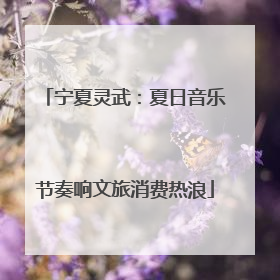 宁夏灵武：夏日音乐节奏响文旅消费热浪