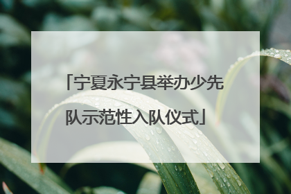 宁夏永宁县举办少先队示范性入队仪式