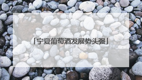宁夏葡萄酒发展势头强