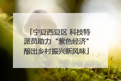 宁夏西夏区 科技特派员助力“紫色经济”酿出乡村振兴新风味