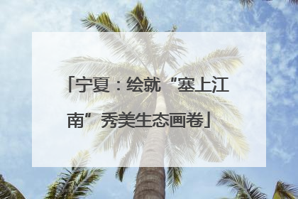 宁夏：绘就“塞上江南”秀美生态画卷