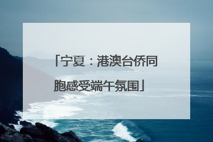 宁夏：港澳台侨同胞感受端午氛围