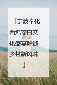 宁波奉化西坞茭白文化盛宴解锁乡村新风味