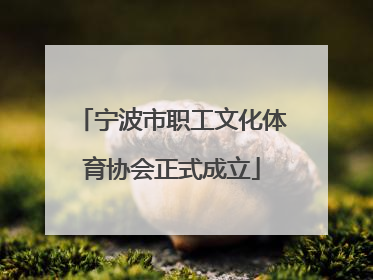 宁波市职工文化体育协会正式成立