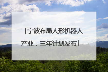 宁波布局人形机器人产业，三年计划发布