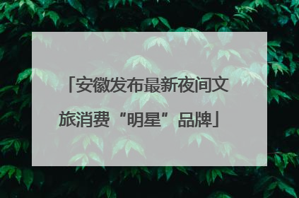 安徽发布最新夜间文旅消费“明星”品牌