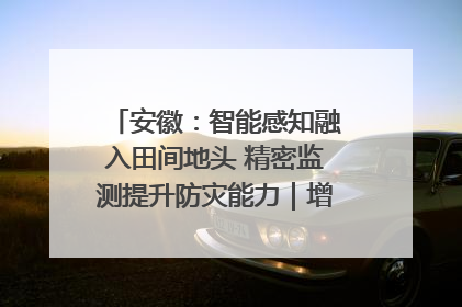 安徽：智能感知融入田间地头 精密监测提升防灾能力｜增发国债气象项目落地见效系列报道
