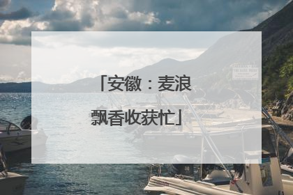 安徽：麦浪飘香收获忙