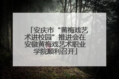 安庆市“黄梅戏艺术进校园”推进会在安徽黄梅戏艺术职业学院顺利召开