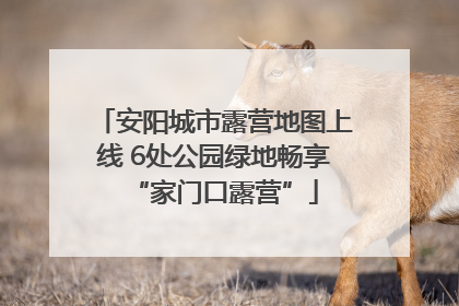 安阳城市露营地图上线 6处公园绿地畅享“家门口露营”
