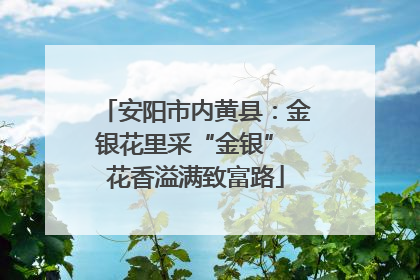 安阳市内黄县：金银花里采“金银” 花香溢满致富路