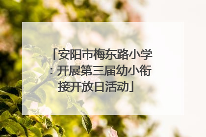 安阳市梅东路小学：开展第三届幼小衔接开放日活动