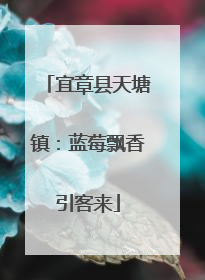 宜章县天塘镇：蓝莓飘香引客来
