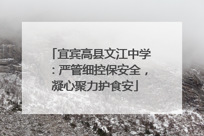 宜宾高县文江中学：严管细控保安全，凝心聚力护食安