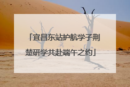 宜昌东站护航学子荆楚研学共赴端午之约