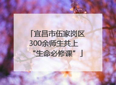 宜昌市伍家岗区300余师生共上“生命必修课”