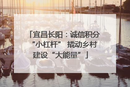 宜昌长阳：诚信积分“小杠杆” 撬动乡村建设“大能量”