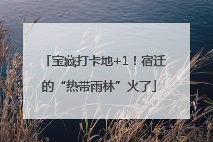 宝藏打卡地+1！宿迁的“热带雨林”火了