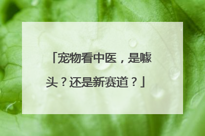 宠物看中医，是噱头？还是新赛道？
