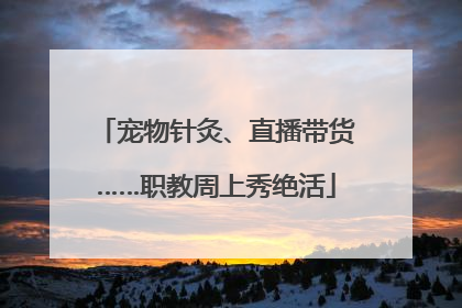宠物针灸、直播带货……职教周上秀绝活