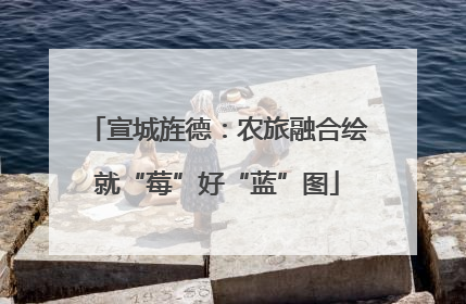 宣城旌德：农旅融合绘就“莓”好“蓝”图
