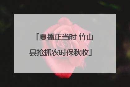 夏播正当时 竹山县抢抓农时保秋收