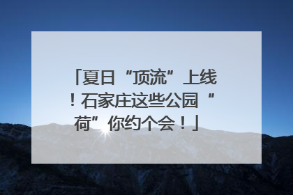 夏日“顶流”上线！石家庄这些公园“荷”你约个会！