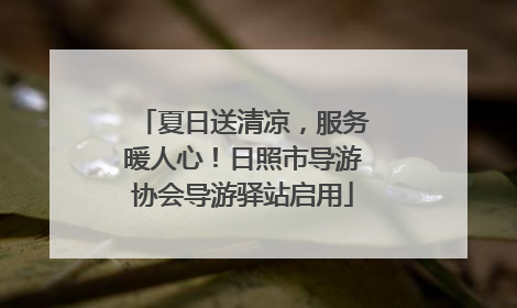 夏日送清凉，服务暖人心！日照市导游协会导游驿站启用