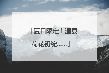 夏日限定！温县荷花初绽……