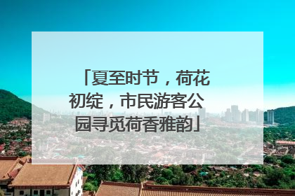 夏至时节，荷花初绽，市民游客公园寻觅荷香雅韵