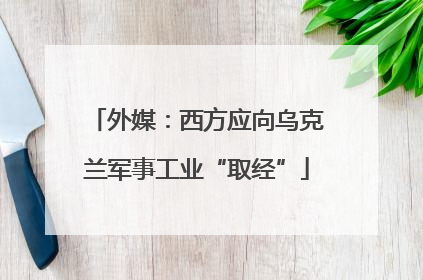 外媒：西方应向乌克兰军事工业“取经”