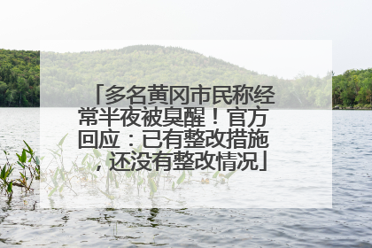 多名黄冈市民称经常半夜被臭醒！官方回应：已有整改措施，还没有整改情况
