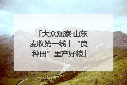 大众观察·山东麦收第一线丨“良种田”里产好粮