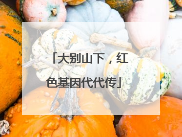 大别山下，红色基因代代传
