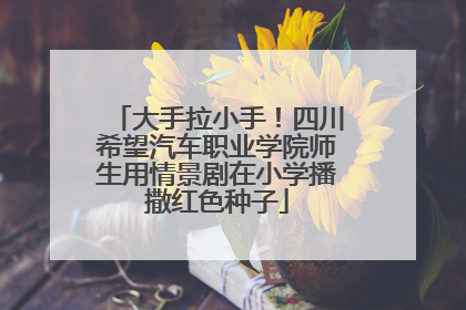 大手拉小手！四川希望汽车职业学院师生用情景剧在小学播撒红色种子