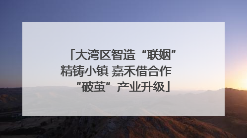 大湾区智造“联姻”精铸小镇 嘉禾借合作“破茧”产业升级