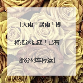 大雨！暴雨！即将抵达福建！已有部分列车停运