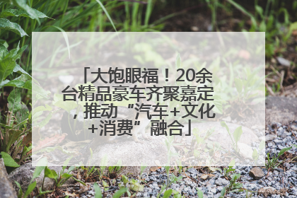 大饱眼福！20余台精品豪车齐聚嘉定，推动“汽车+文化+消费”融合