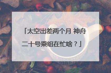 太空出差两个月 神舟二十号乘组在忙啥？