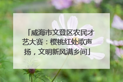 威海市文登区农民才艺大赛：樱桃红处歌声扬，文明新风满乡间