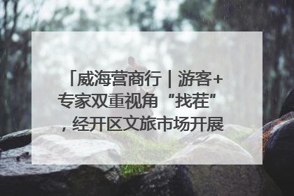 威海营商行｜游客+专家双重视角“找茬”，经开区文旅市场开展暑期前“体检”