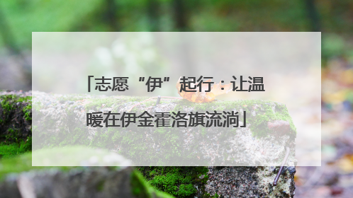 志愿“伊”起行：让温暖在伊金霍洛旗流淌