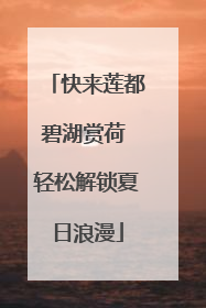 快来莲都碧湖赏荷 轻松解锁夏日浪漫
