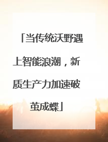 当传统沃野遇上智能浪潮，新质生产力加速破茧成蝶