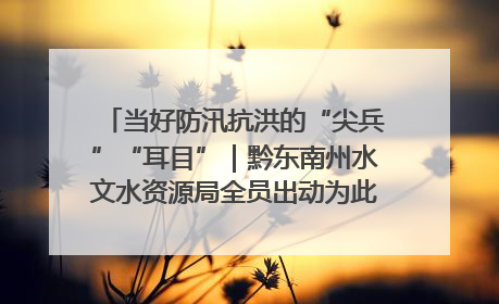 当好防汛抗洪的“尖兵”“耳目”｜黔东南州水文水资源局全员出动为此轮强降雨做好测报工作