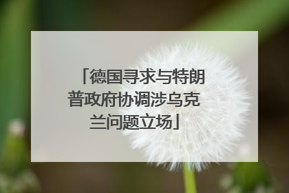 德国寻求与特朗普政府协调涉乌克兰问题立场