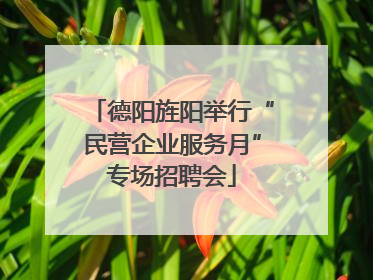 德阳旌阳举行“民营企业服务月”专场招聘会